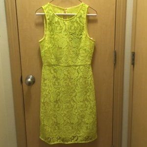 Yellow J-Crew lace dress